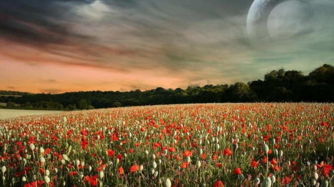 马上领证了，发现男朋友离不了游戏，让他少打游戏他会非常生气，正常吗？